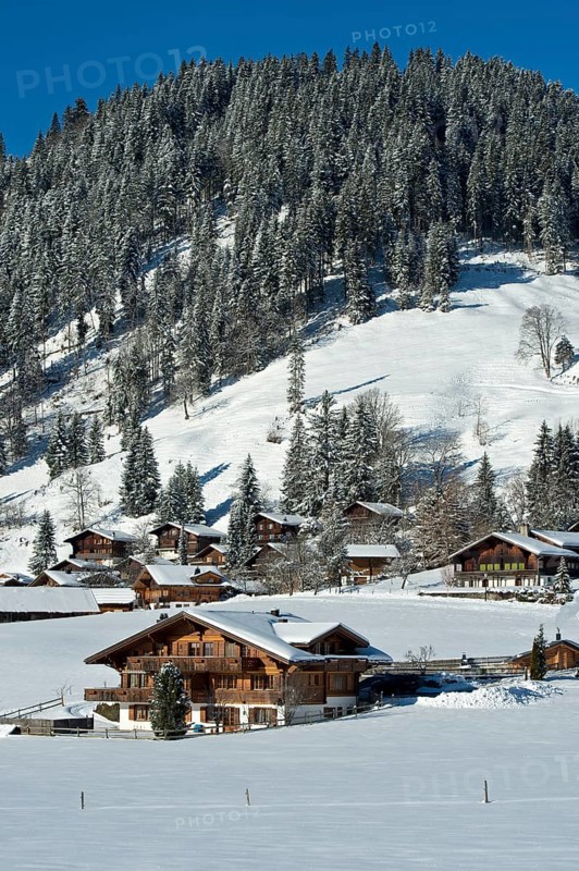 Swiss chalets in a winter landscape in Saanenland