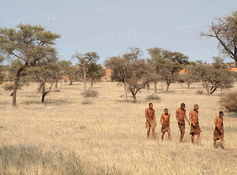 Bushmen in the Kalahari Desert