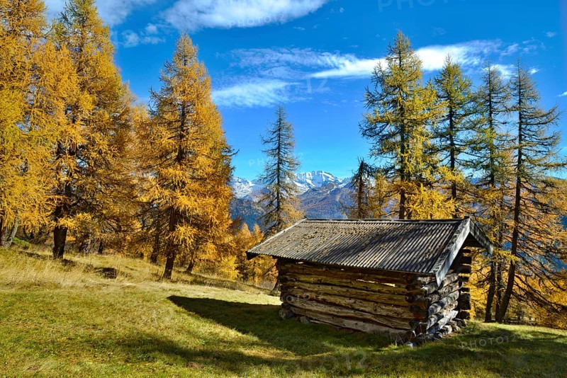 Hut
