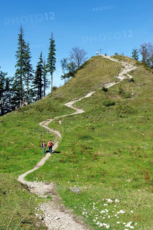 Trail to the peak of Spitzen Stein on the Brundling Alm