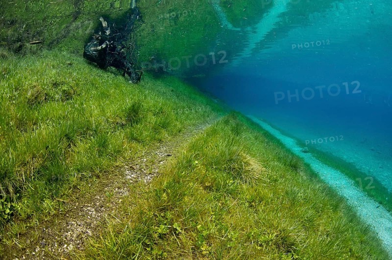 Underwater landscape