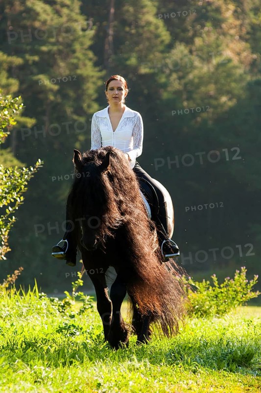 Horsewoman riding a black Friesian horse with a long crest