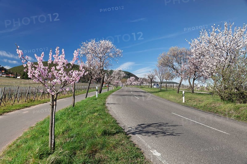 Country road