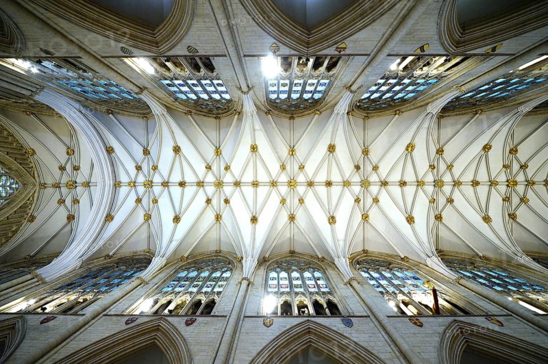 Net vaulting in the nave