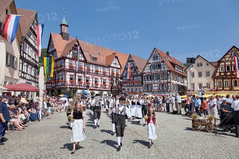 Historical parade