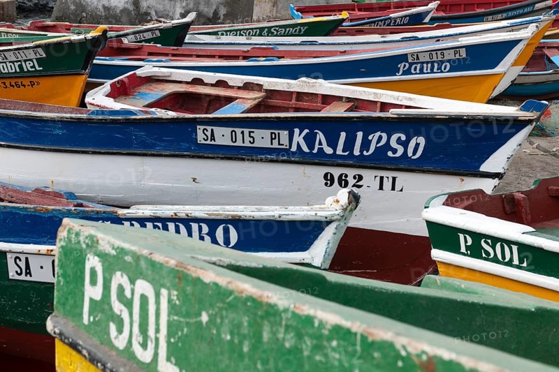 Boats in the harbor