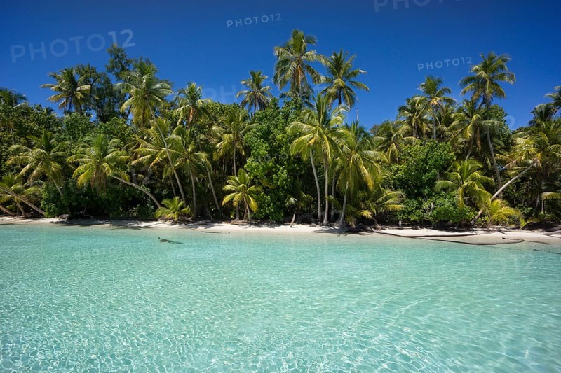 Lagoon with a sandy beach and palm trees
