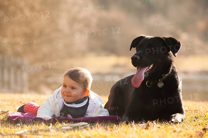 Toddler lying beside a dog