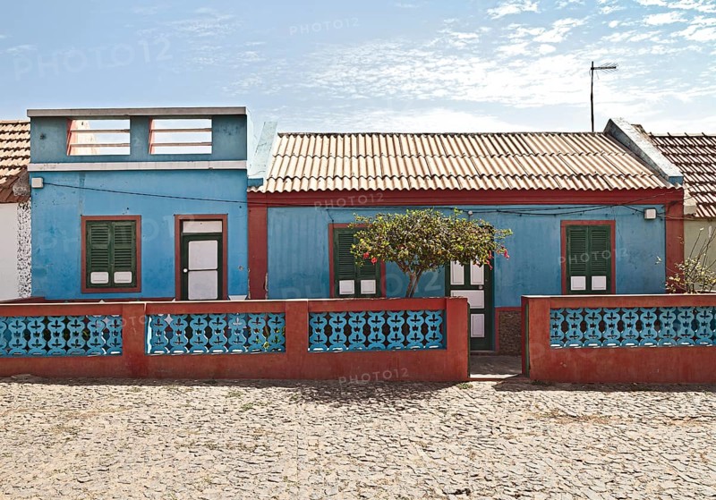 Colourful house with a flowering hibiscus tree