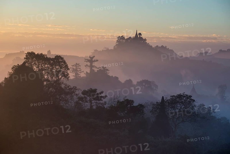 Pagodas surrounded by trees