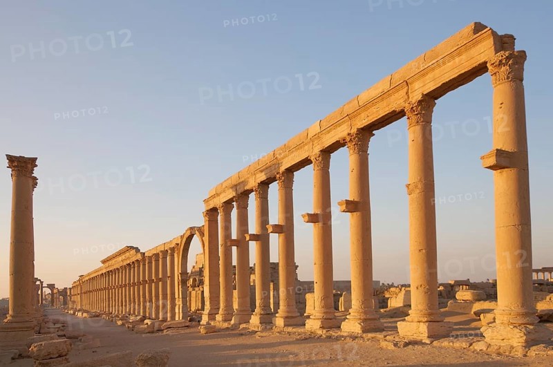 Ruins of the ancient city of Palmyra in the morning light