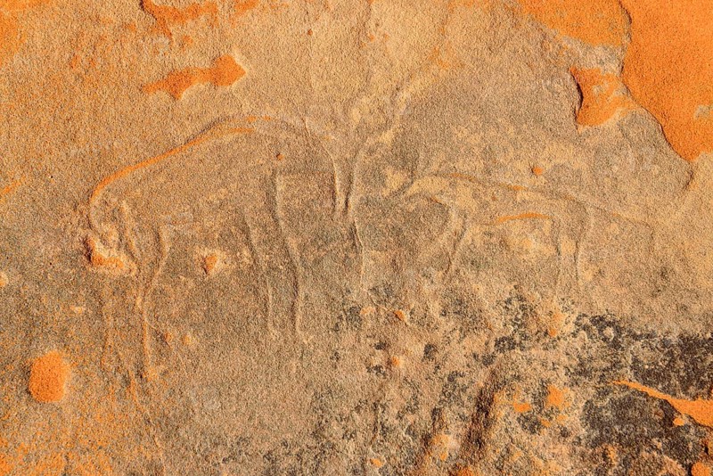 Rock engraving of a gazelle attacked by a neolithic rock art