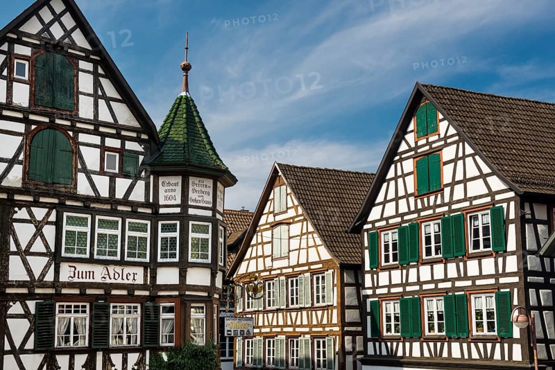Half-timbered houses