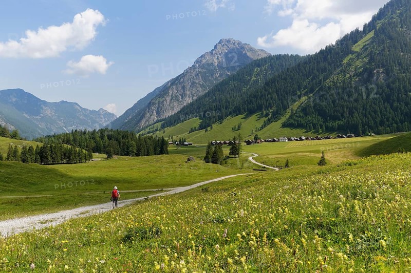 Nenzinger Himmel alpine meadow with Fundelkopf