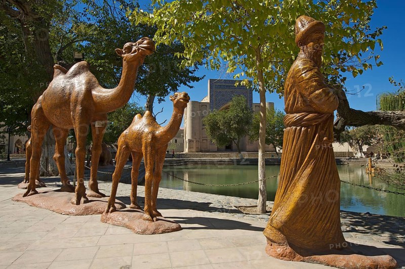Camel drivers