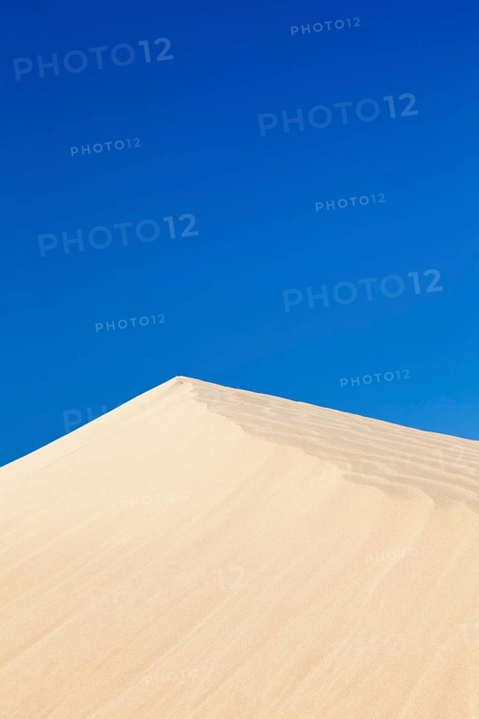 Dune