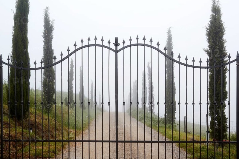 Wrought iron gate in the morning mist