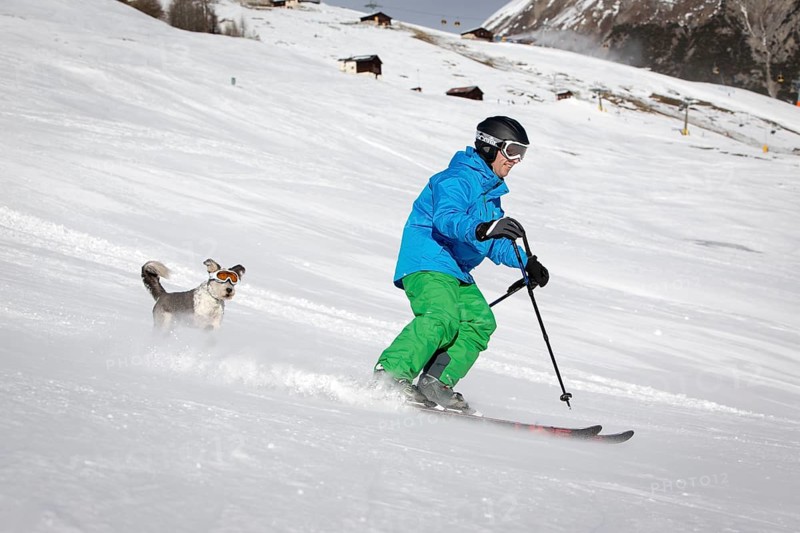 A skier and his dog with snow goggles on a ski slope