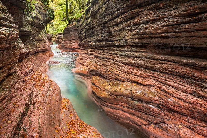 The Taugl river
