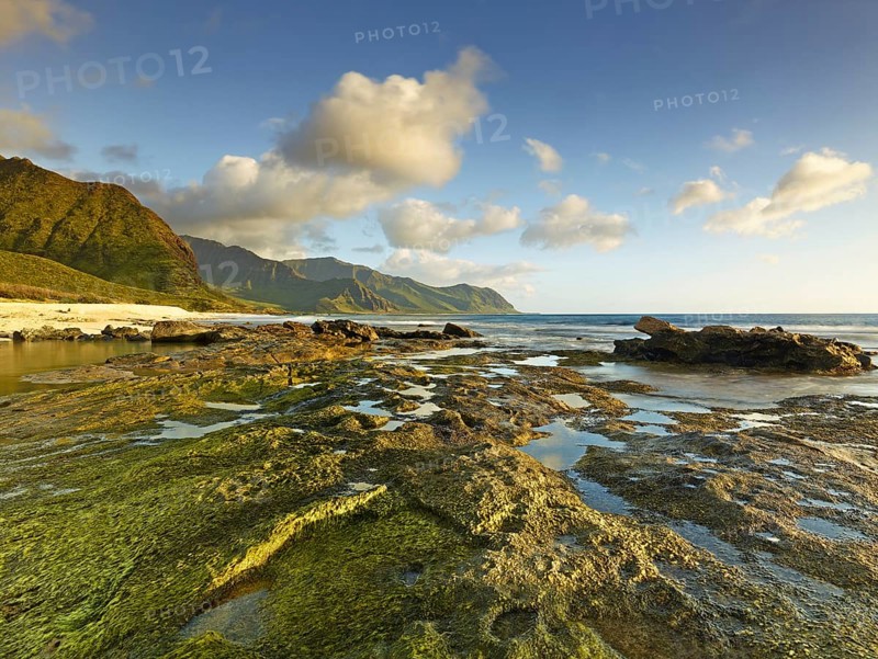 Beach at Ka'ena Point State Park