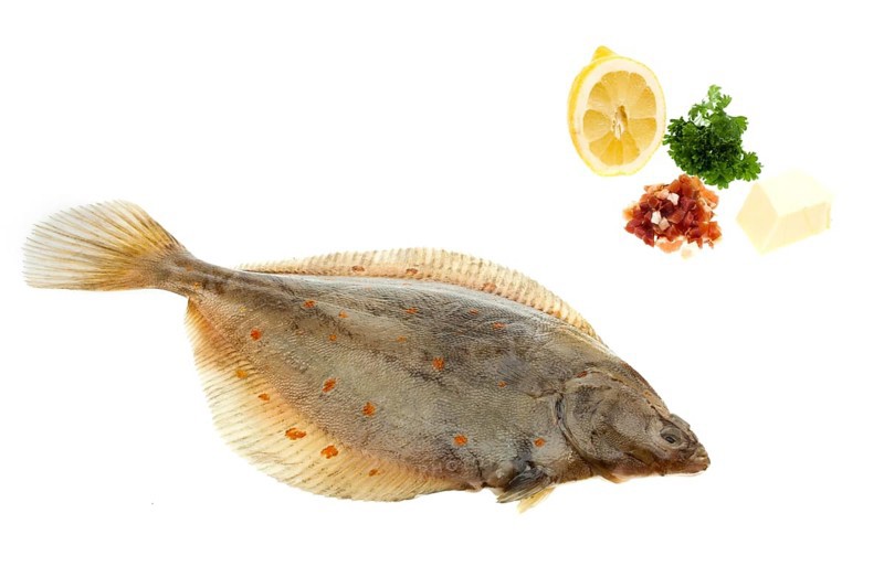 Plaice with butter