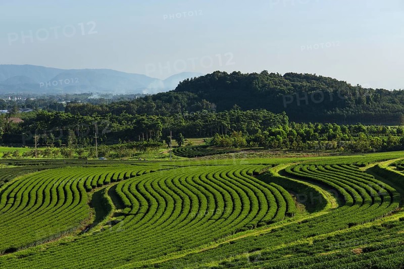 Boon Rawd Farm