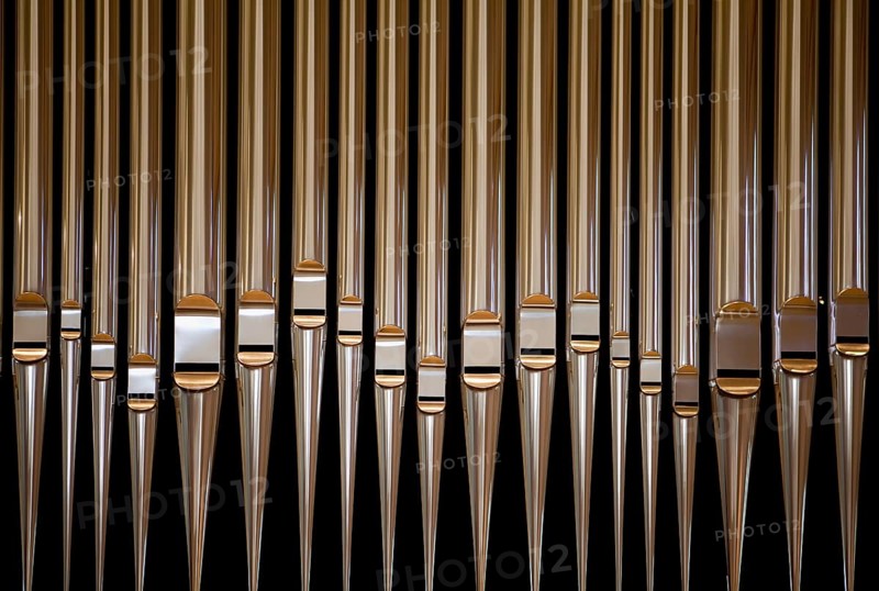 Organ pipes