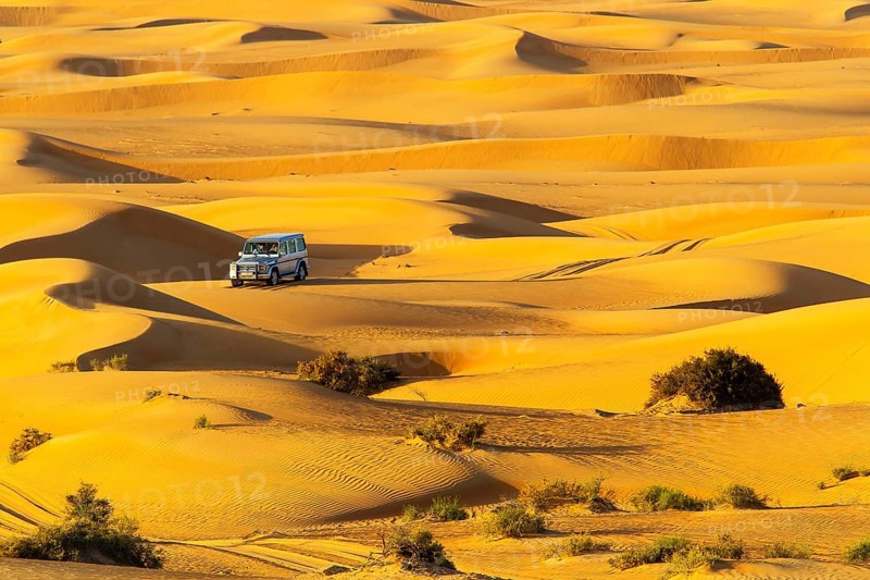 Safari jeep