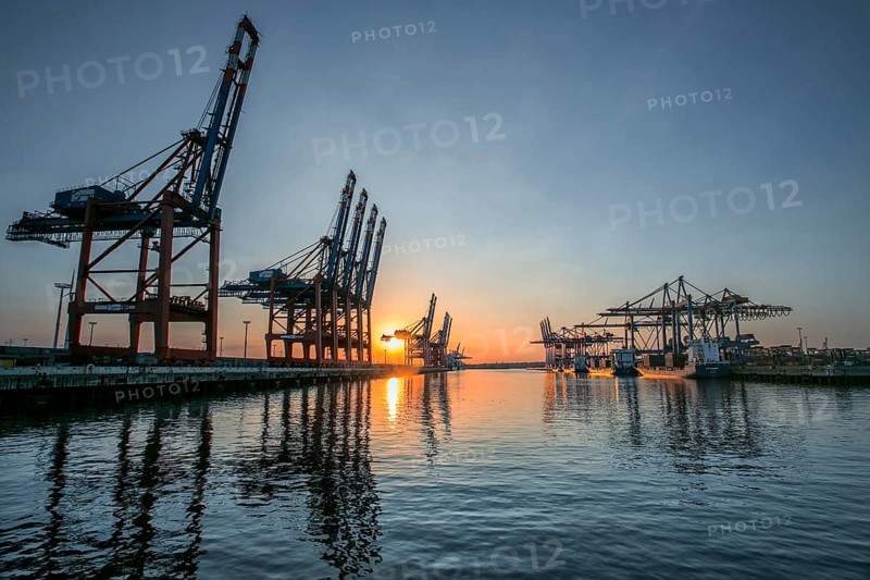 Waltershofer Damm 1 with the gantry cranes of Burchardkai and the Eurogate Container Terminal