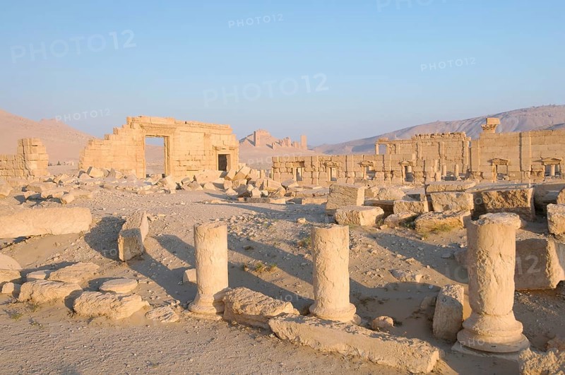 Ruins of the ancient city of Palmyra in the morning light