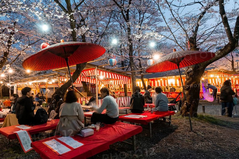 Food stalls at the cherry blossom festival