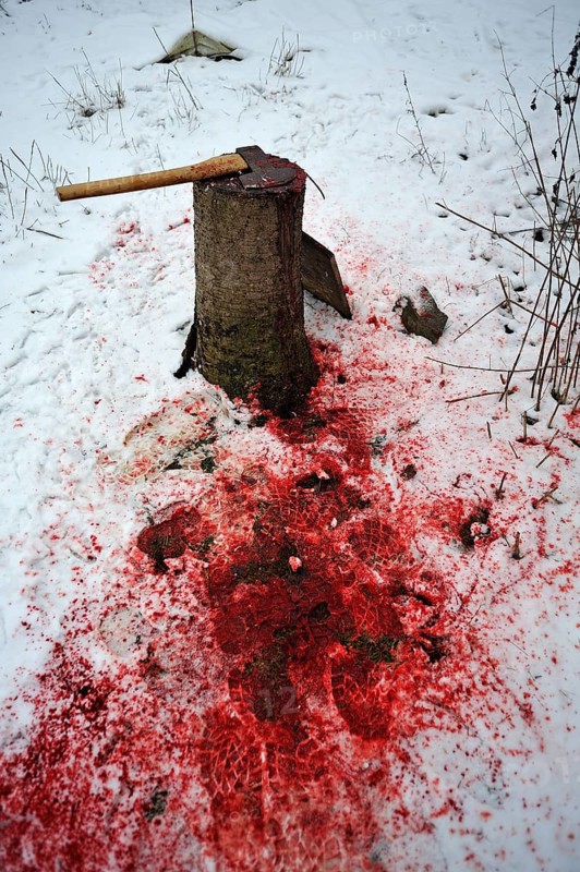 Home slaughtering on a farm