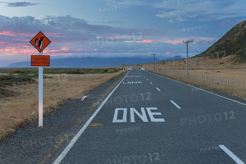 Warning sign 'Caution Penguins' on a coastal road at dusk