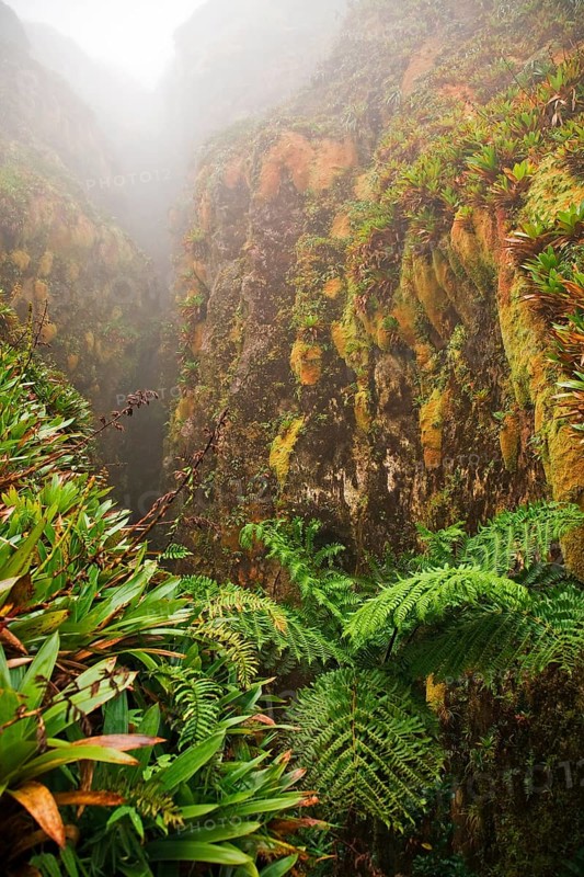 Canyon on La Soufriere volcano