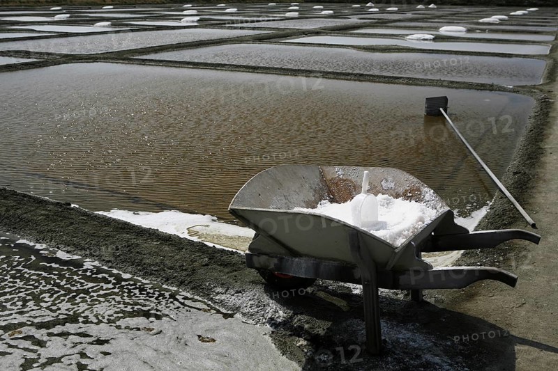 Salt farm
