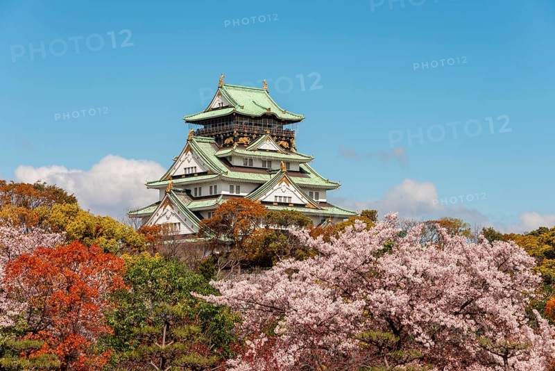 Osaka Castle with flowering cherry trees in the park