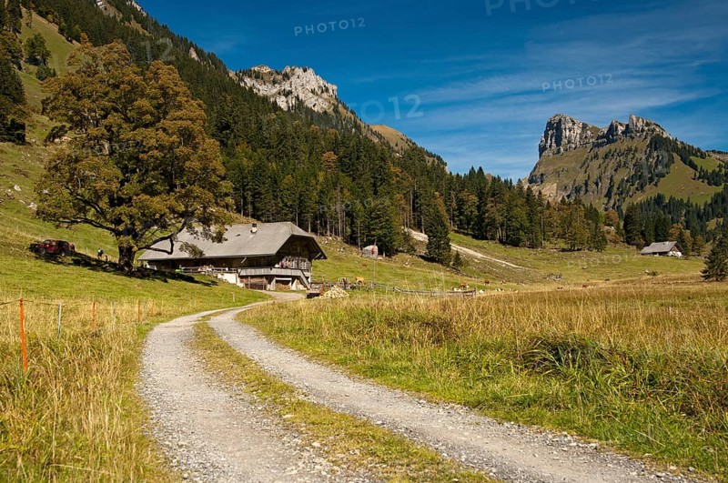 Dirt road leading to a mountain farm