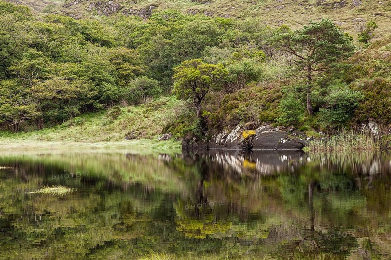 Upper Lake