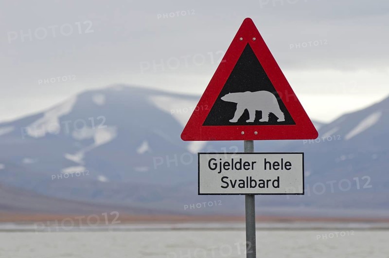 Polar bear warning sign