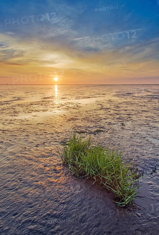 Wadden Sea