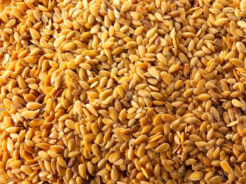 Organic golden linseed