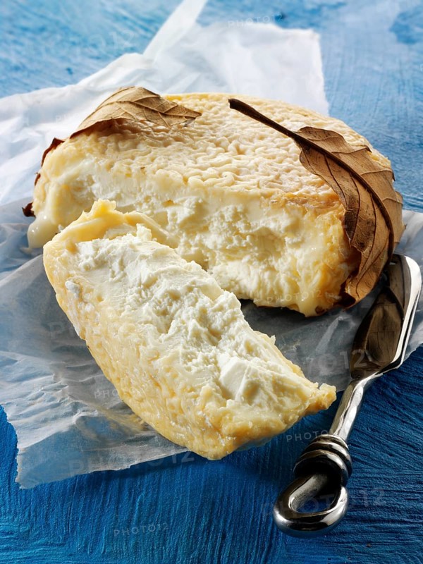 French farm goat cheese or chevre