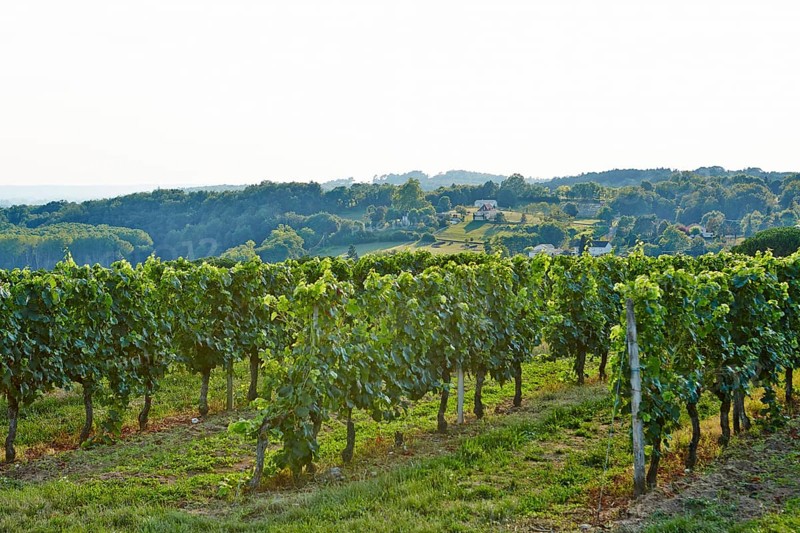 Wine-growing region of the Dordogne