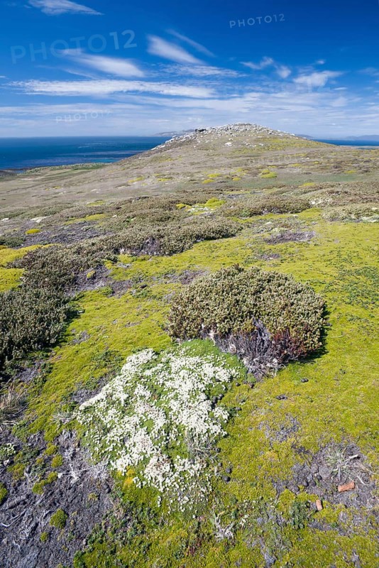 View of Westpoint Island