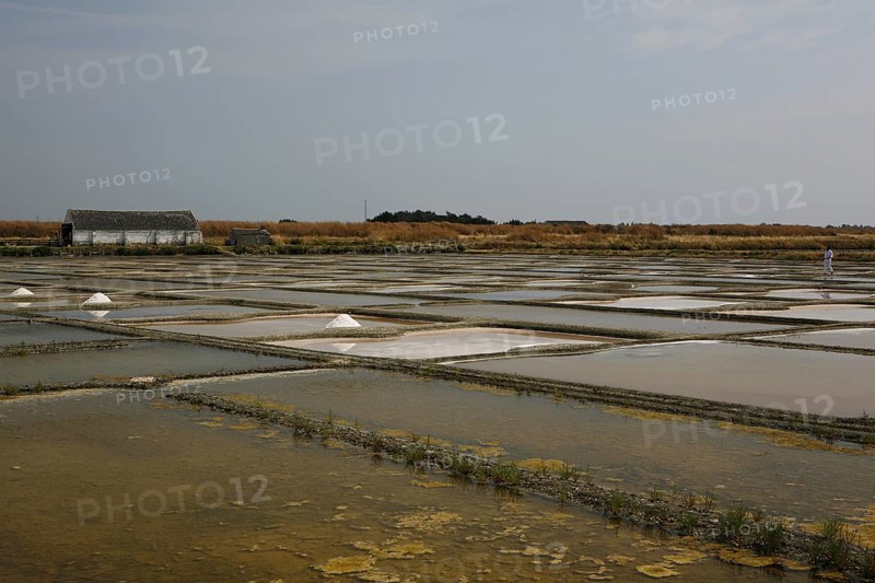 Salt farm