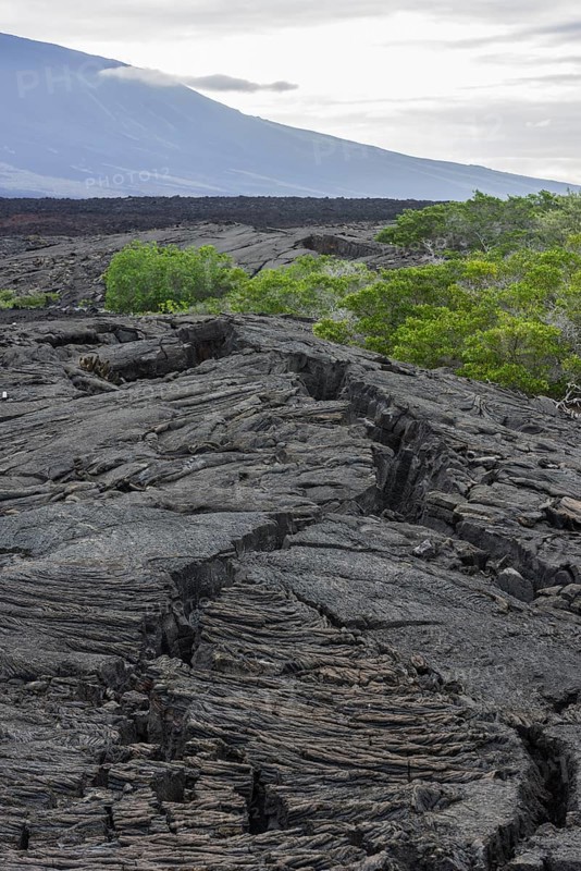 Lava field