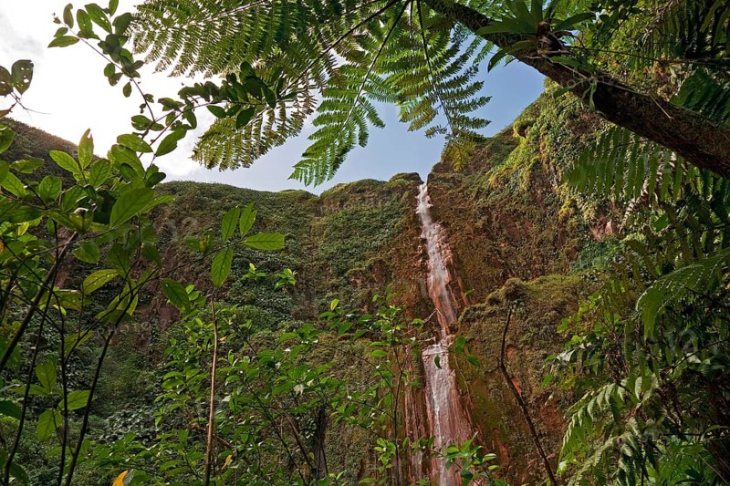 Chutes du Carbet