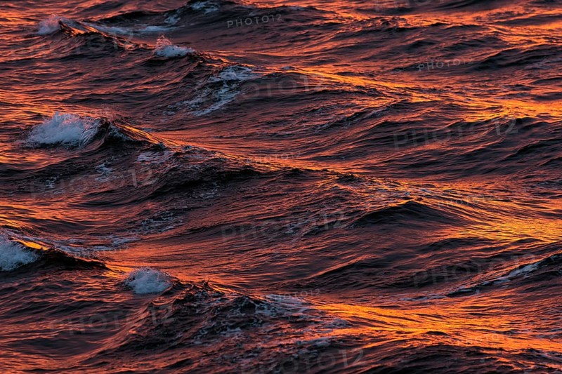 Bow waves in the evening light