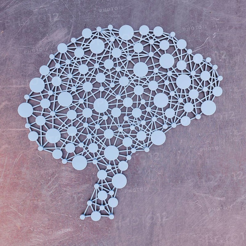 Brain