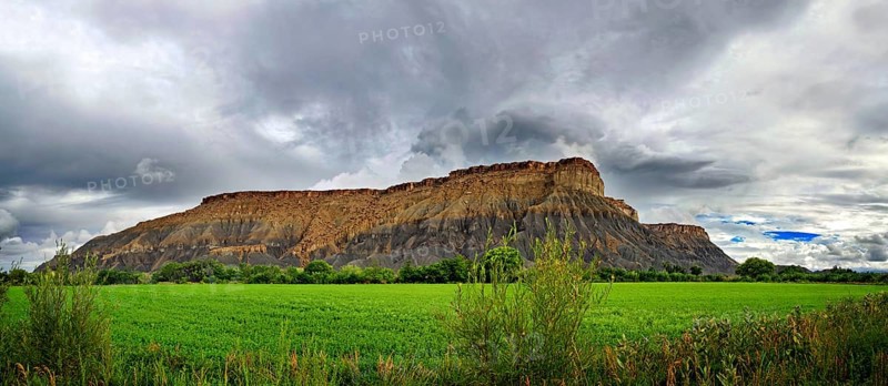 Green fertile valley with the South Caineville Mesa after a thunderstorm